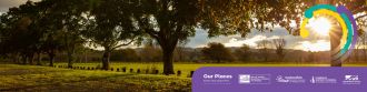 Eastern Bay of Plenty Spatial Plan