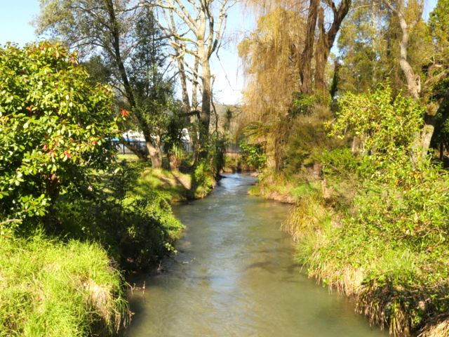 Ruruanga Stream Walkway