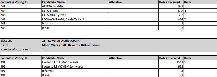 Preliminary Local Election Results 12 October 2025 
