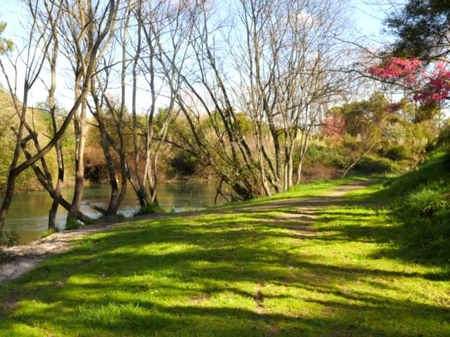 Tarawera River Margins Walk