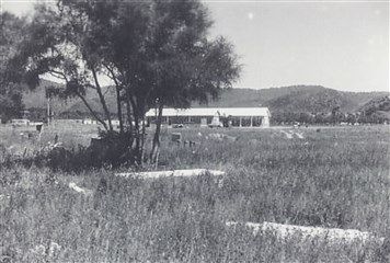 VN 2017.21 Kawerau Townsite Cafeteria (now Library) 1953